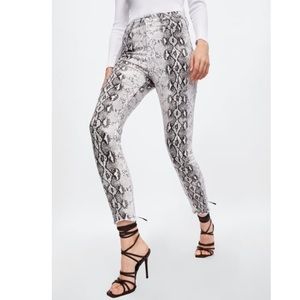 Hgh Waisted SNAKEPRINT Pants NEW !
